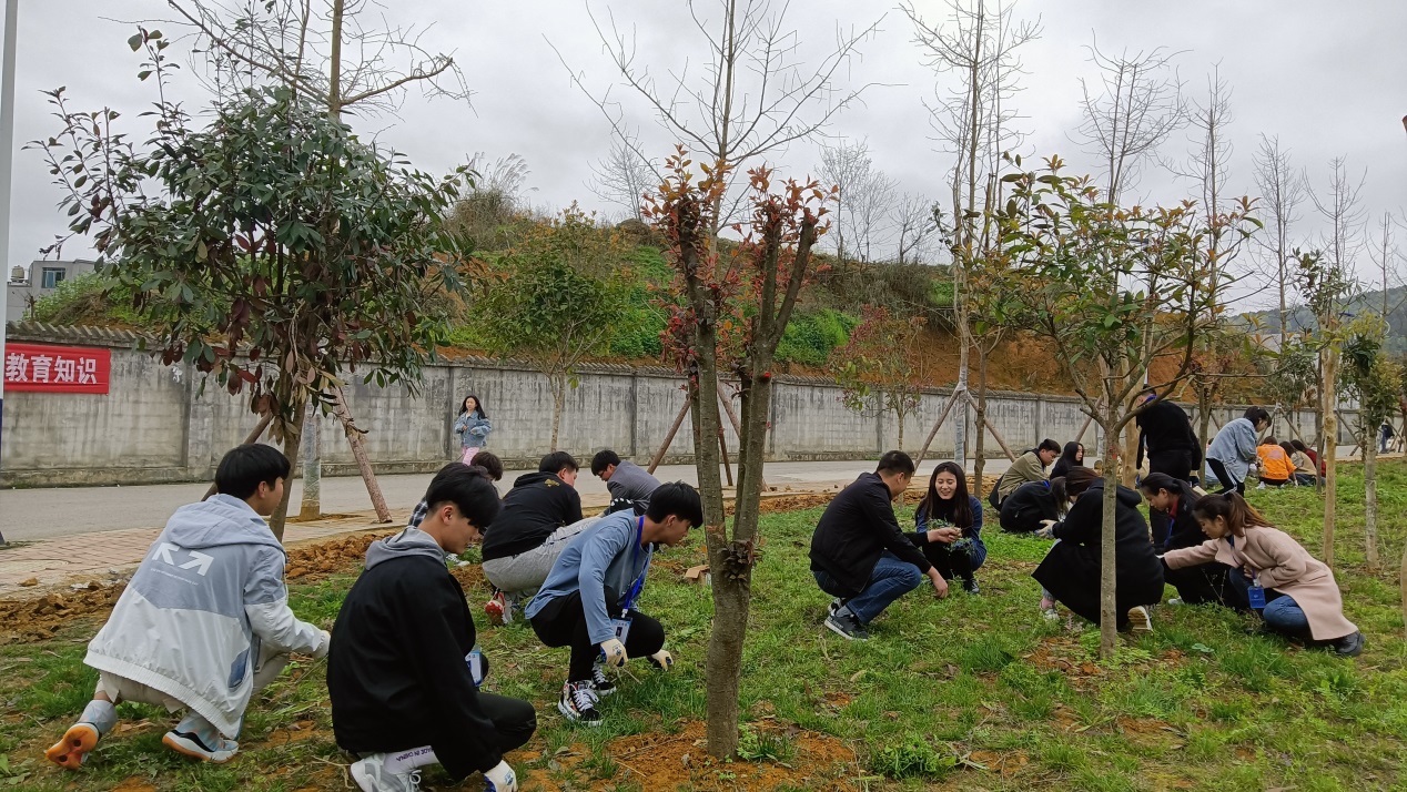 我为校园添风景 花种与我共成长(图3)